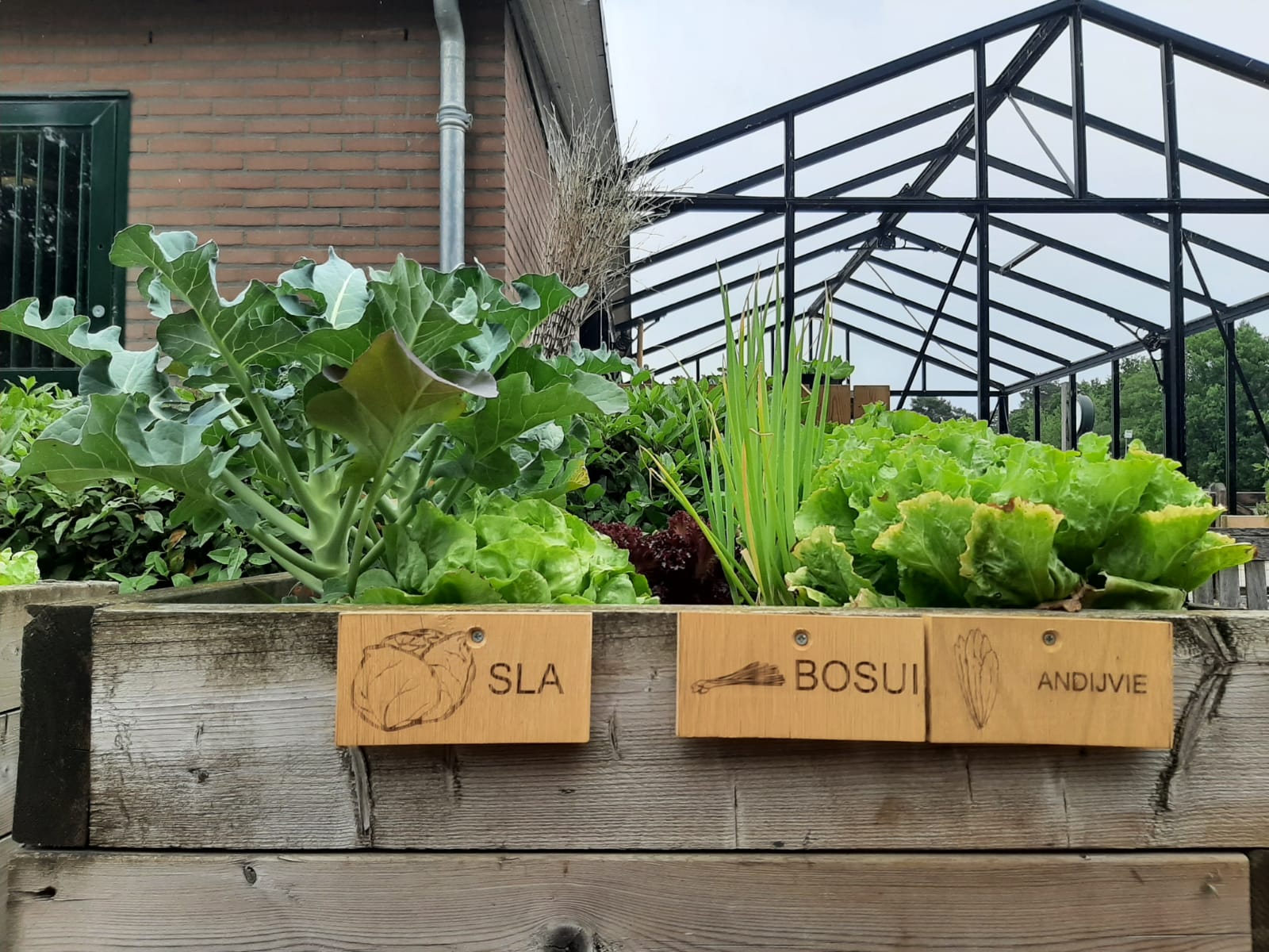 Moestuin zorgboerderij Wijchen